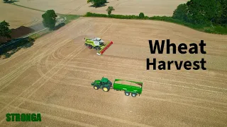 Wheat Harvest in Germany with Stronga, John Deere & Claas