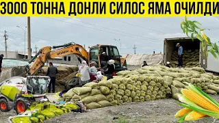 3000 ТОННА ДОНЛИ СИЛОС ЯМА ОЧИЛДИ УЗБ БЎЙИЧА ДОСТАВКА