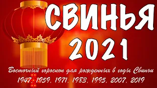 ЧТО ЖДЕТ СВИНЬЮ В 2021 ГОД БЫКА - ГОРОСКОП НА 2021 ГОД ПО ГОДУ РОЖДЕНИЯ