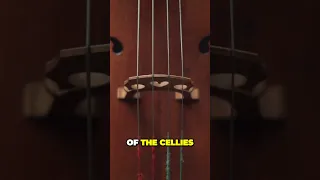 Part 2: Mic a Cello for Metal Music