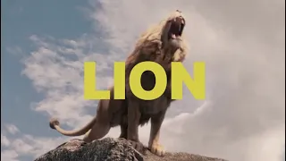 THE JESUS PROJECT - LION