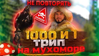 1000 и 1 трип на мухоморе. 2 года трипов. Мой опыт. Не повторять!