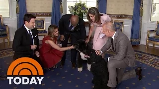 It’s Bo And Sunny! The Obama Family Dogs Join The TODAY White House Tour | TODAY