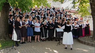 "SCHWARZE MADONNA"    2023-09-09 UNGARNDEUTSCHES KIRCHENMUSIKFEST