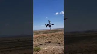 A-10 Thunderbolt High Speed Low Pass - Aviation Shorts by Eagle Aviator