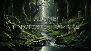 Jeremy Soule (Skyrim) — “Alone in The Forests of Tamriel” (3 Hr. mix)