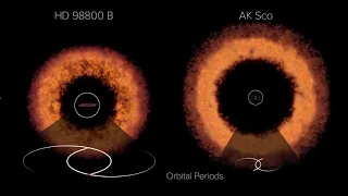 Animation Showing Aligned and Misaligned Circumbinary Disks Around Binary Star Systems