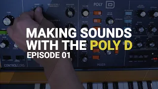 Making sounds with POLY D Behringer tutorial guide - Episode 01