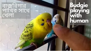 Budgie Talks To Owner To Stop Feeling Lonely | Pets: Wild At Heart | Budgie singing & chirping