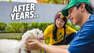 EMOTIONAL REUNION With Our Dog TIPTOE (After years) | Ranz and Niana