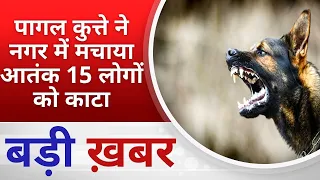 बड़ी खबर : पागल कुत्ते ने नगर में मचाया आतंक 15 लोगों को काटा ! PADMESH 24X7 BALAGHAT NEWS