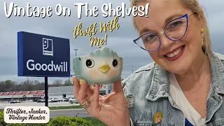 VINTAGE on The Shelves! Goodwill Thrift With Me Vlog