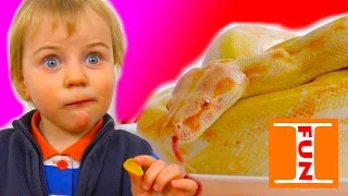 Обычная Еда против Мармелада Челлендж! Real Food vs Gummy Food - Candy Challenge