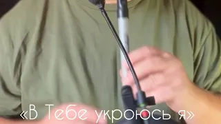 В Тебе укроюсь я»