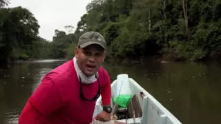 FISH FINDER Wolf fish fishing lessons Suriname