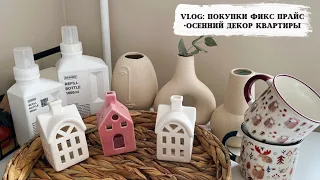 🍂VLOG 91: покупки Фикс прайс, осенний декор, ПП завтрак, организация хранения, расхламление