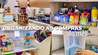 ORGANIZAÇÃO DAS COMPRAS DO MÊS 🛒| guardando e organizando tudo nos armários e geladeira | Laís Duo✨