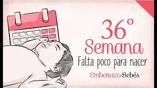 SEMANA 36 de #Embarazo | 9º Mes | Semana a semana