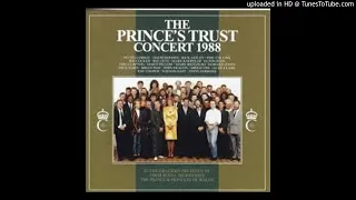18 With a Little Help From My Friends - Princes Trust Concert.1988-06-06.London