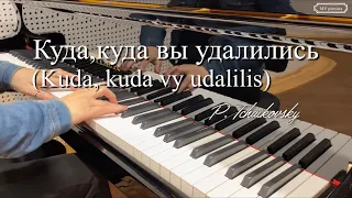 Kuda, kuda vy udalilis, Karaoke, with lyrics, Lensky’s aria, Eugene Onegin, Tchaikovsky