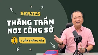 Tuần trăng mật nơi công sở