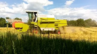Уборка пшеницы и сбор соломы