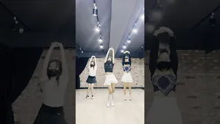 [Cover dance] When I move - Kara 카라