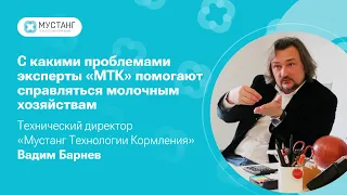 С какими проблемами эксперты «Мустанг Технологии Кормления» помогают справляться молочным хозяйствам