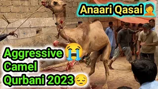 Khatarnak ount ki Qurbani 2023😱| Anari Qasai😑