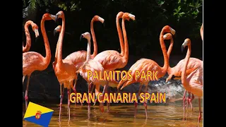 Palmitos Park Gran Canaria Spain / Walking Tour Vlog # 242