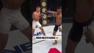 Brutal Way To End A Fight #mma #knockout