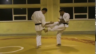 #Мотоха Йошин рю Дзю Дзюцу - перших 10ть технік (#Motoha Yoshin ryu Jiu Jitsu - first 10 techniques)