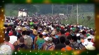 La Rosa de Guadalupe: Misael huye de la Mara en la caravana migrante | Es tiempo de amor 1