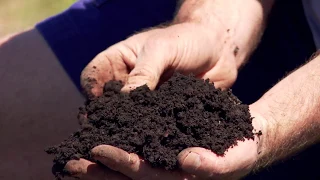 Soil organic matter: Everything you need to know about organic matter on your farm