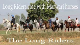 horse ride for 45 km by long riders with marwari horses at long riders ranch