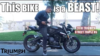 BEST SOUNDING BIKE EVER!| 2018 TRIUMPH Street Triple RS