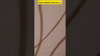 Новогодний ужастик 😅