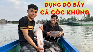 Câu cá tra sông/ quay lại câu bè đụng độ bầy ca cóc khủng kéo đã tay