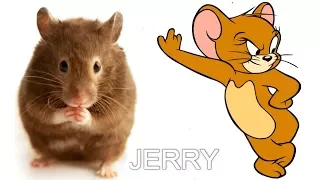 Tom and Jerry Characters in Real Life 2018
