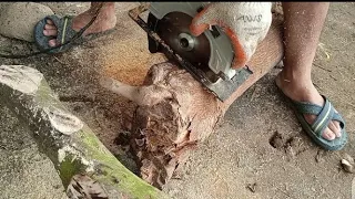 UPDATE: Mitsushi Circular Saw from Lazada. used in cutting logs!