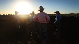 Farmers destroy crops over staff shortages