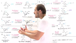 Overview of Glycolysis