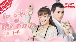 I'm a Pet At Dali Temple【INDO SUB】EP1-11| SojaTV Indonesia