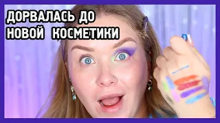 ВСЁ ЛИЦО ПЕРВЫХ ВПЕЧАТЛЕНИЙ I Tammy Tanuka, Shu, Stellary