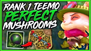 #1 TEEMO WORLD LITERALLY POISONS EVERYTHING - League of Legends