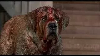 Cujo Main Theme (Charles Bernstein)