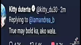 kitty duterte sinupalpal si andrea brilliantes sa twitter