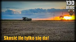 Krótkie okienko pogodowe! Na styk przed deszczem - kosimy ile się da. | Żniwa 2023 odc.8 |Vlog #130