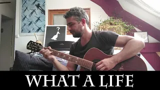 What a life - Scarlet Pleasure (Drunk - Another Round Movie) Fingerstyle