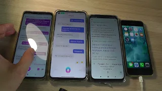 Бой ассистентов : Алиса vs Siri vs Маруся vs Google Ассистент
